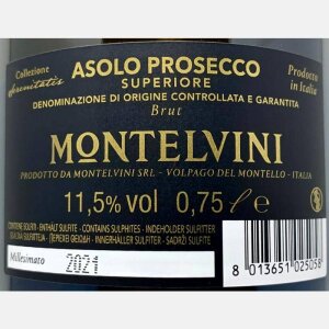 Prosecco Superiore Asolo FM333 Brut Millesimato DOCG 2021...